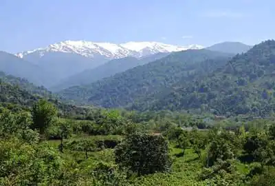 فروش ۲۸۸ متر زمین مسکونی در چابکسر
