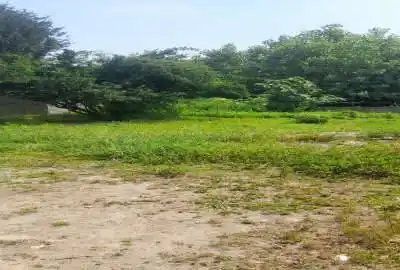 فروش زمین ۴۱۶ متری شفت روستای شالما