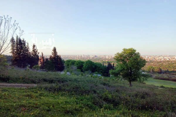 زمین ۲۰۰ متر چشم انداز زیبا بالای تپه های پایین سنگریزه ساری - تصویر 2