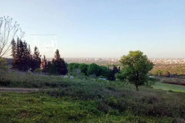 زمین ۲۰۰ متر چشم انداز زیبا بالای تپه های پایین سنگریزه ساری - تصویر 2