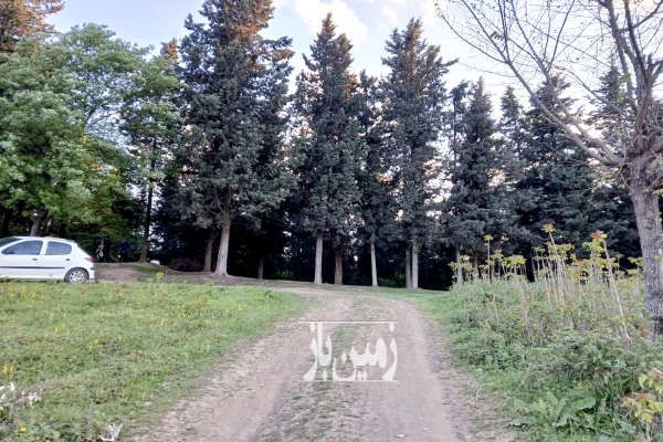 زمین ۲۰۰ متر چشم انداز زیبا بالای تپه های پایین سنگریزه ساری - تصویر 4