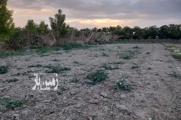 زمین ۷۵۰ متر کاشانک عوارضی تهران قم - تصویر 2