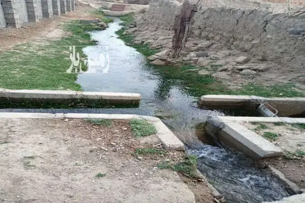 فروش باغ ۲۵۰۰ متر روستای دروار دامغان - تصویر 3