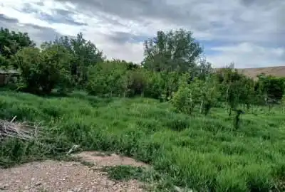 فروش باغ ۲۵۰۰ متر روستای دروار دامغان