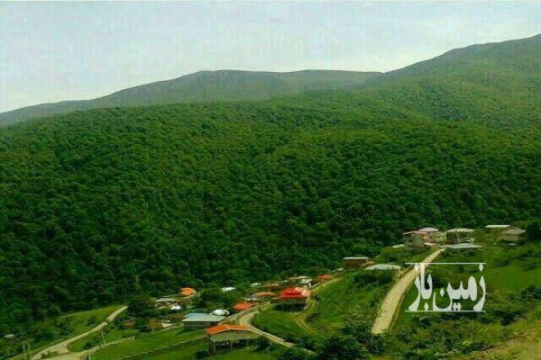 فروش زمین ویلایی ۳۱۷ متر با امکانات استثنایی - تصویر 1