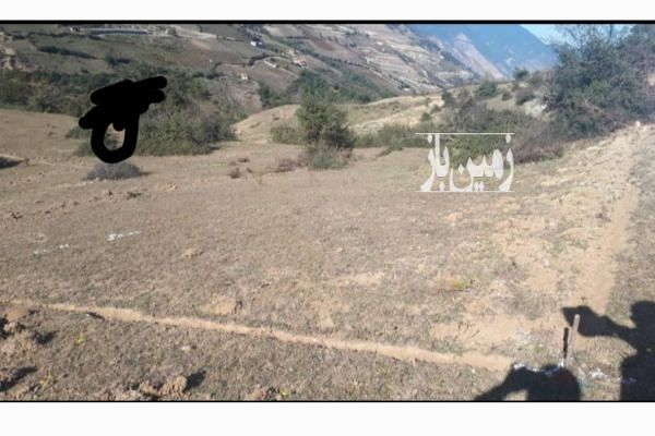 زمین ۲۱۰ متر آمل چلاو اول روستای گنگرج کلا - تصویر 4
