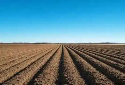 زمین کشاورزی ۲۷۰۰ متر روستای کلین فشافویه