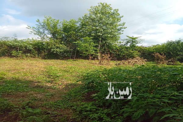 زمین فروشی ۵۰۰ متر نزدیک به دریا - تصویر 1