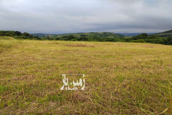 فروش زمین کشاورزی ۴۵۰ متر در روستای زیبای ریکنده - تصویر 1