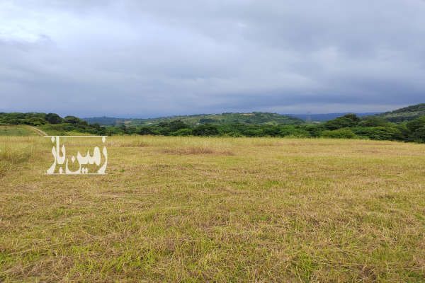 فروش زمین کشاورزی ۴۵۰ متر در روستای زیبای ریکنده - تصویر 2
