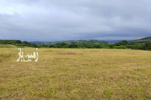 فروش زمین کشاورزی ۴۵۰ متر در روستای زیبای ریکنده - تصویر 2
