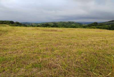 فروش زمین کشاورزی ۴۵۰ متر در روستای زیبای ریکنده