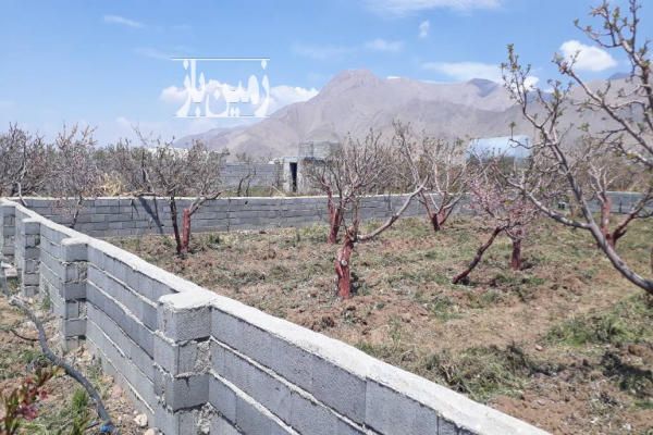 فروش زمین کشاورزی ۷۲۰ متر مرغوب و پر برکت - تصویر 1