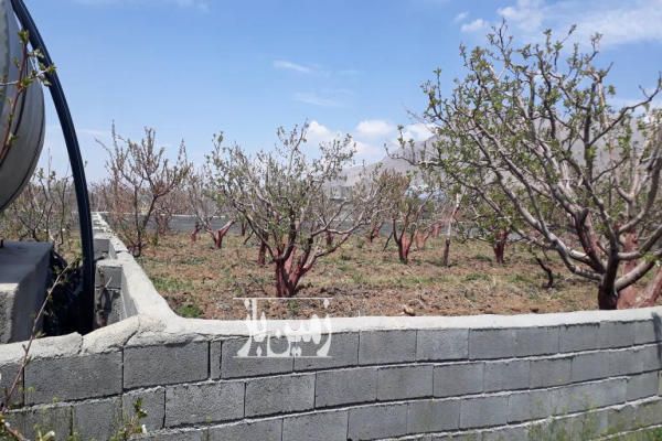 فروش زمین کشاورزی ۷۲۰ متر مرغوب و پر برکت - تصویر 2