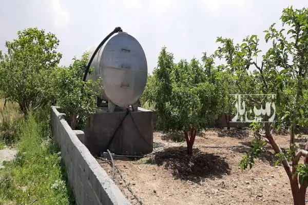 فروش زمین کشاورزی ۷۲۰ متر مرغوب و پر برکت - تصویر 4