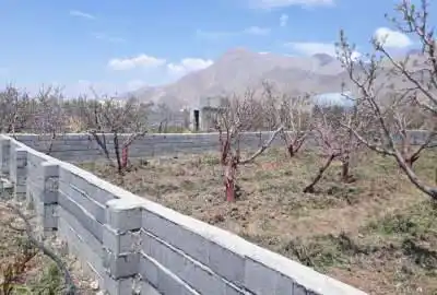 فروش زمین کشاورزی ۷۲۰ متر مرغوب و پر برکت