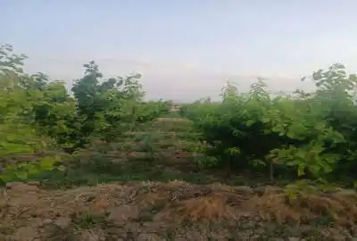 باغچه ۵۰۰ متر سهیلیه انتهای شهرک زعفرانیه روستای زکی اباد