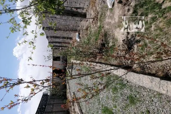 باغچه ۴۰۰ متری حصار مهتر رباط کریم - تصویر 3