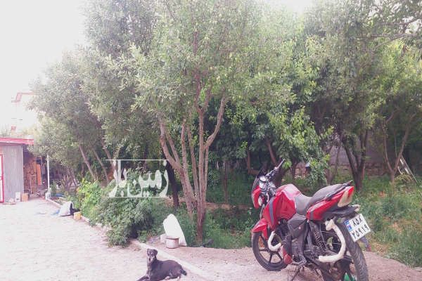 زمین فروشی ۹۲۴ متر در گلبهار روستای نوبهار باغ ملکی - تصویر 2