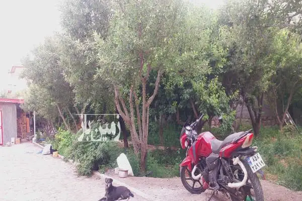 زمین فروشی ۹۲۴ متر در گلبهار روستای نوبهار باغ ملکی - تصویر 2