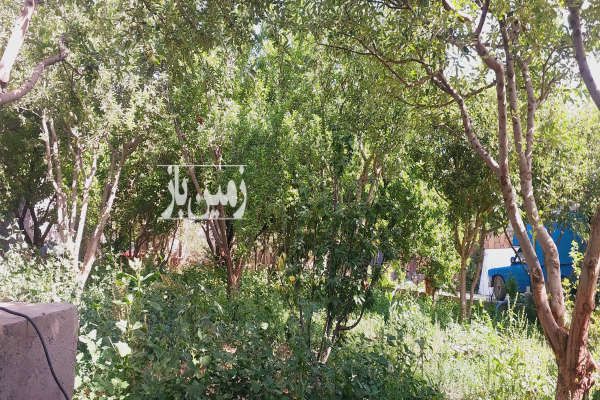 زمین فروشی ۹۲۴ متر در گلبهار روستای نوبهار باغ ملکی - تصویر 3