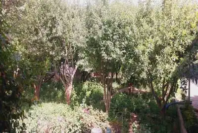 زمین فروشی ۹۲۴ متر در گلبهار روستای نوبهار باغ ملکی