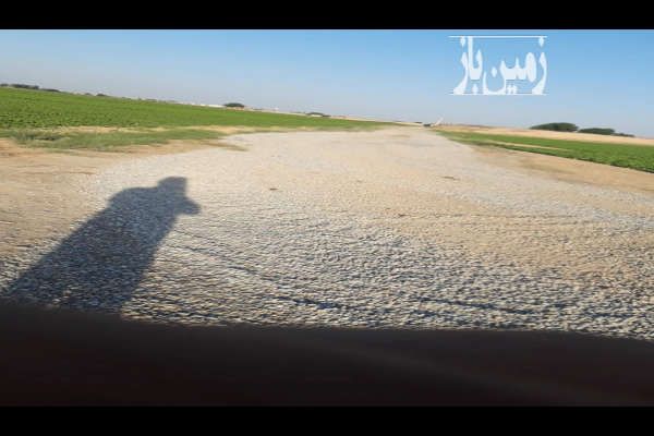 زمین کشاورزی ۲۰۰۰ متر در آران رضااباد - تصویر 4