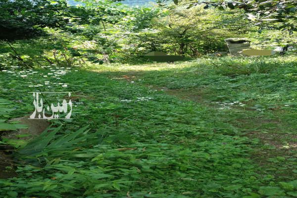 فروش زمین ۹۴۸۰ متر در دل طبیعت - تصویر 1