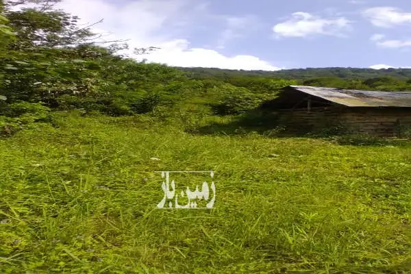 فروش زمین ۹۴۸۰ متر در دل طبیعت - تصویر 3