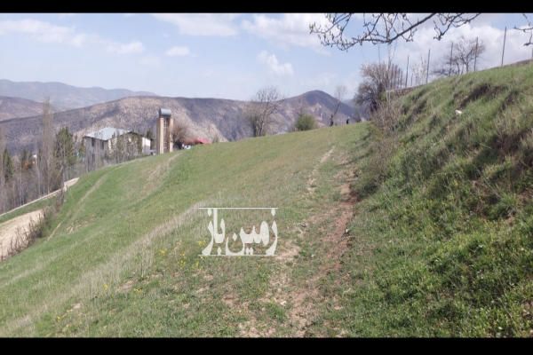 فروش زمین ۱۰۰۰ متر مسکونی واقع در ییلاق روستای کوا - تصویر 4