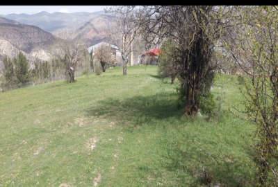 فروش زمین ۱۰۰۰ متر مسکونی واقع در ییلاق روستای کوا