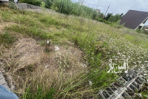 زمين ۳۰۰ متر مسكونى در منكَودهه ۵ دقيقه تا گلسار - تصویر 4