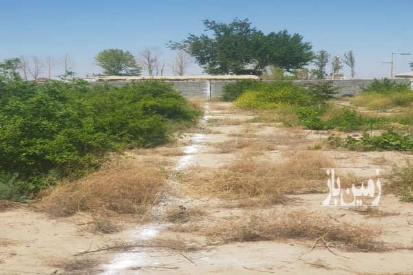 زمین ۴۷۷ متر پیشوا روستای محمد ابادعربها موقعیت مناسب - تصویر 3