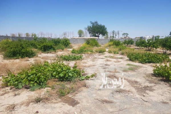 زمین ۴۷۷ متر پیشوا روستای محمد ابادعربها موقعیت مناسب - تصویر 4