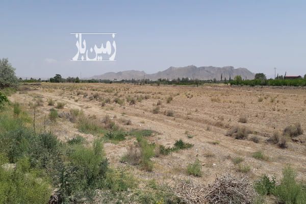 زمین کشاورزی و باغ ۱۴۰۰۰۰ متر در منطقه شمال بسطام - تصویر 2