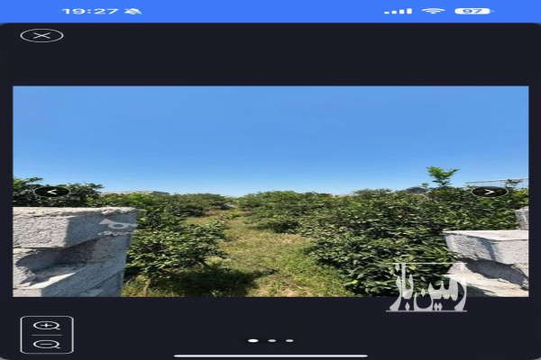 فروش زمین ۲۸۹ متر در کوچیکسرا - تصویر 4