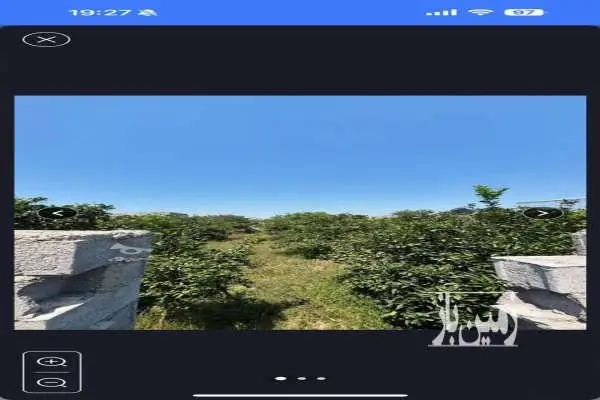 فروش زمین ۲۸۹ متر در کوچیکسرا - تصویر 4