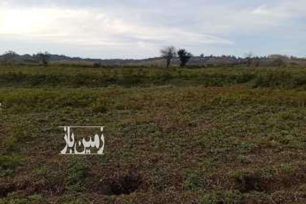 زمین کشاورزی ۵۰۰ متر در روستای ورکی - تصویر 2