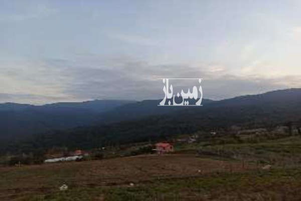 زمین کشاورزی ۵۰۰ متر در روستای ورکی - تصویر 3