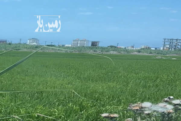 زمین ۱۰۰۰ متر سرخرود لوکیشن عالی کوچه بهاریکم - تصویر 3