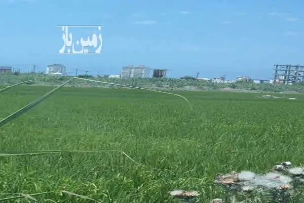 زمین ۱۰۰۰ متر سرخرود لوکیشن عالی کوچه بهاریکم - تصویر 3