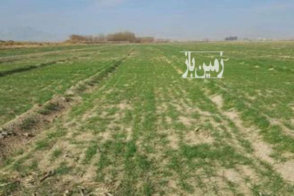 زمین مناسب ۷۰۰ متر برای سرمایه گذاری و باغچه جاده کانال - تصویر 1