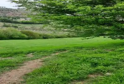 زمین پسته ور مرزن آباد ۱۵۳۹ متر مناسب سرمایه گذاری