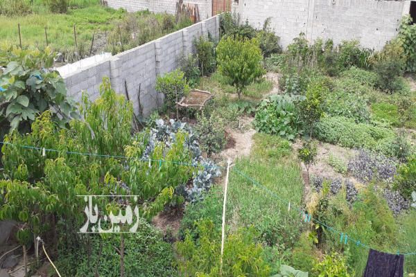 فروش زمین ۵۰۰ متر در روستای رزکه واقع در بافت - تصویر 2