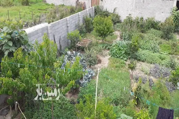 فروش زمین ۵۰۰ متر در روستای رزکه واقع در بافت - تصویر 2
