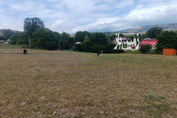 زمین ۷۰۰۰ متری با ویوی عالی روستای آسیابر سیاهکل - تصویر 3