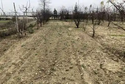فروش زمین باغی ۱۳۰۰ متر ابتدای جاده کردکوی بندرگز