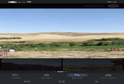 فروش باغ گردو و بادام هفت هکتار