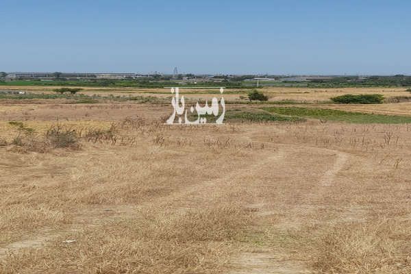 زمین خوش نقشه ۶۰۰ متر روستای جامخانه - تصویر 1
