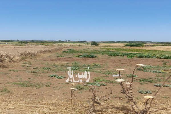 زمین خوش نقشه ۶۰۰ متر روستای جامخانه - تصویر 2